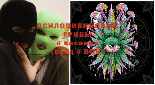 2c-b Алзамай