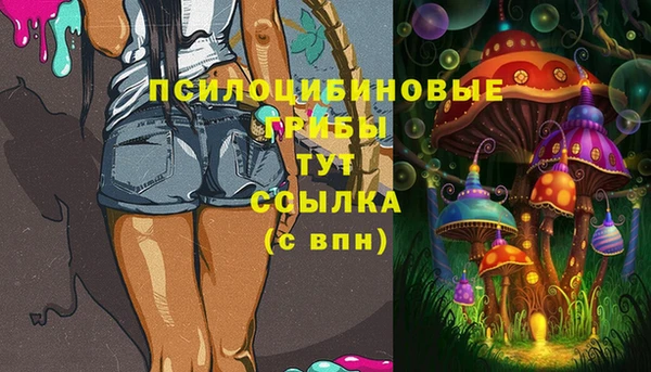 2c-b Алзамай