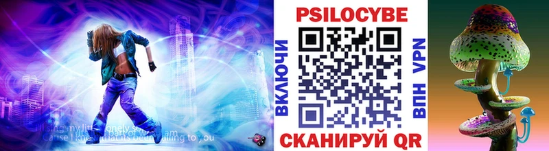 Псилоцибиновые грибы Cubensis  даркнет сайт  Фролово 