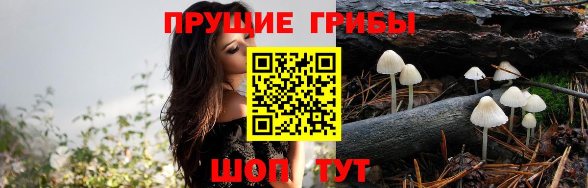 Псилоцибиновые грибы мухоморы  Вход с VPN  Фролово 